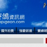 歐盟賽鴿資訊網 (EURO PIGEON) 歐盟賽鴿資訊網 (EURO PIGEON)
